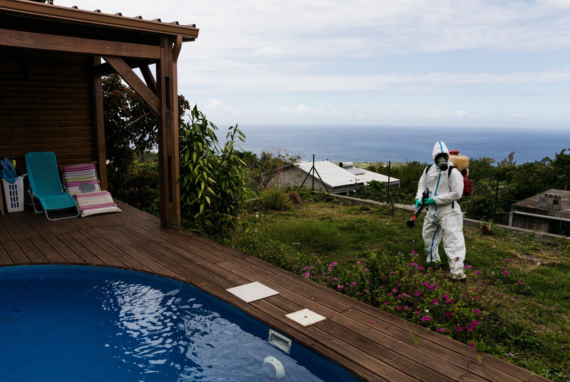 Man spraying insecticide in garden to prevent adult mosquitoes spreading dengue virus