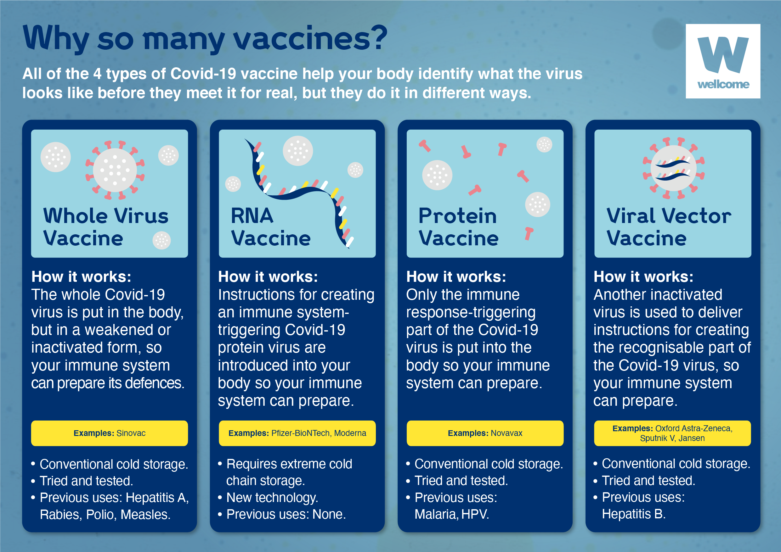 All four times of Covid-19 vaccine - whole virus vaccine, RNA vaccine, Protein vaccine and viral vector vaccine - help your body identify virus looks like before they meet it for real, but they do it in different ways. 