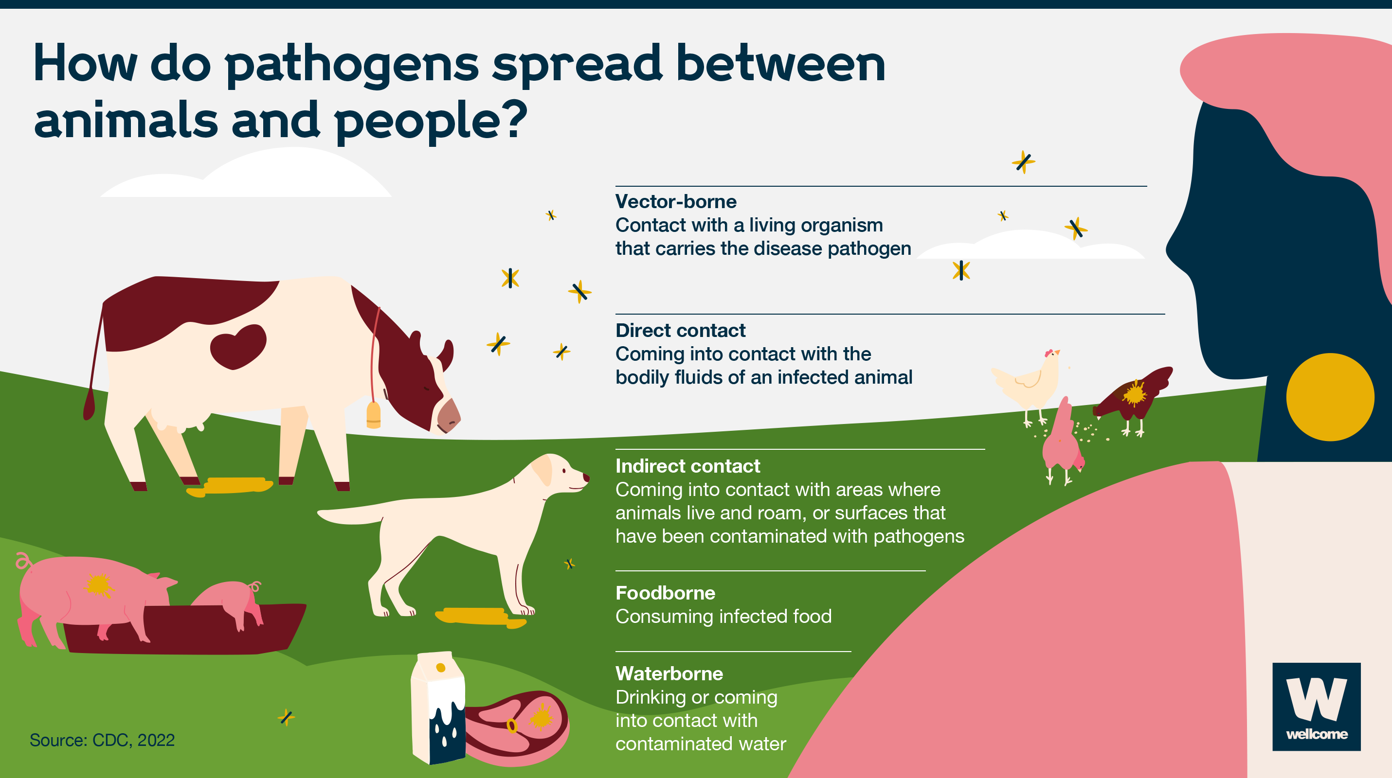 An illustration summaries how pathogens spread between animals and people. Text explains that pathogens can be vector-borne, foodborne, waterborne or spread by direct or indirect contact. A cow, dog, pigs, meat and chickens are used to illustrate.