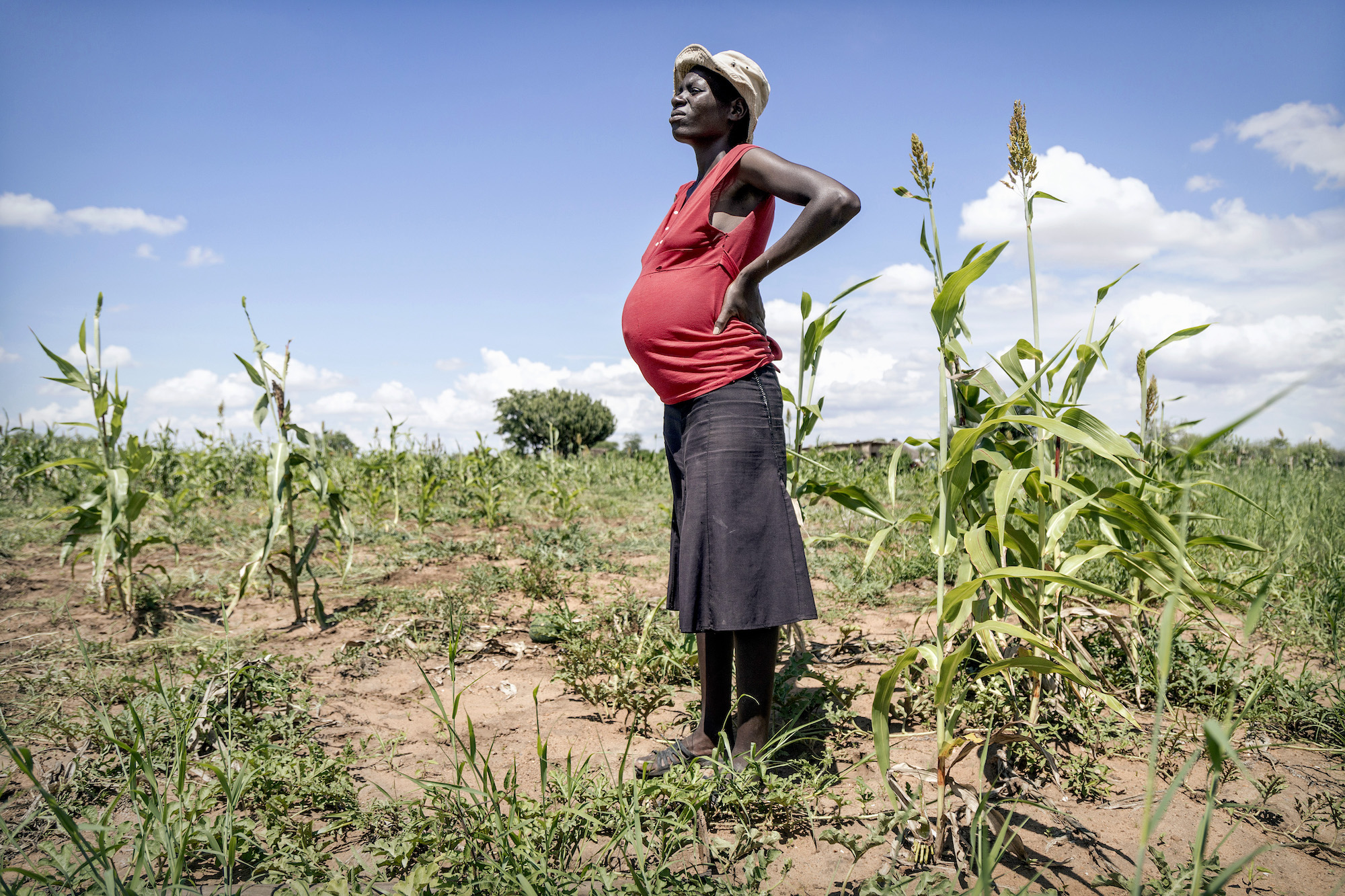In the Matobo District in Zimbabwe, a pregnant woman stands in a field beside crops damaged by drought.