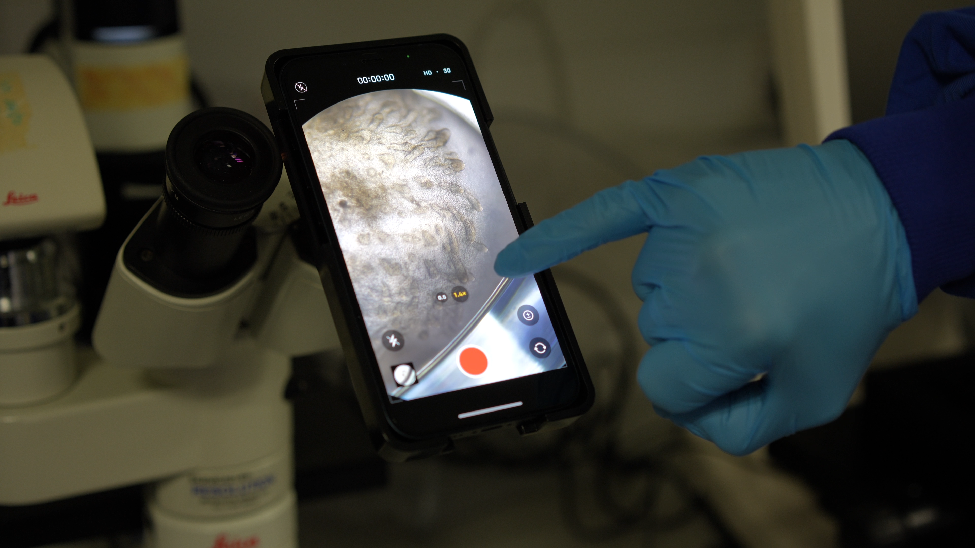 A smartphone is shown recording specimen from a microscope. A hand is pointing at the screen.