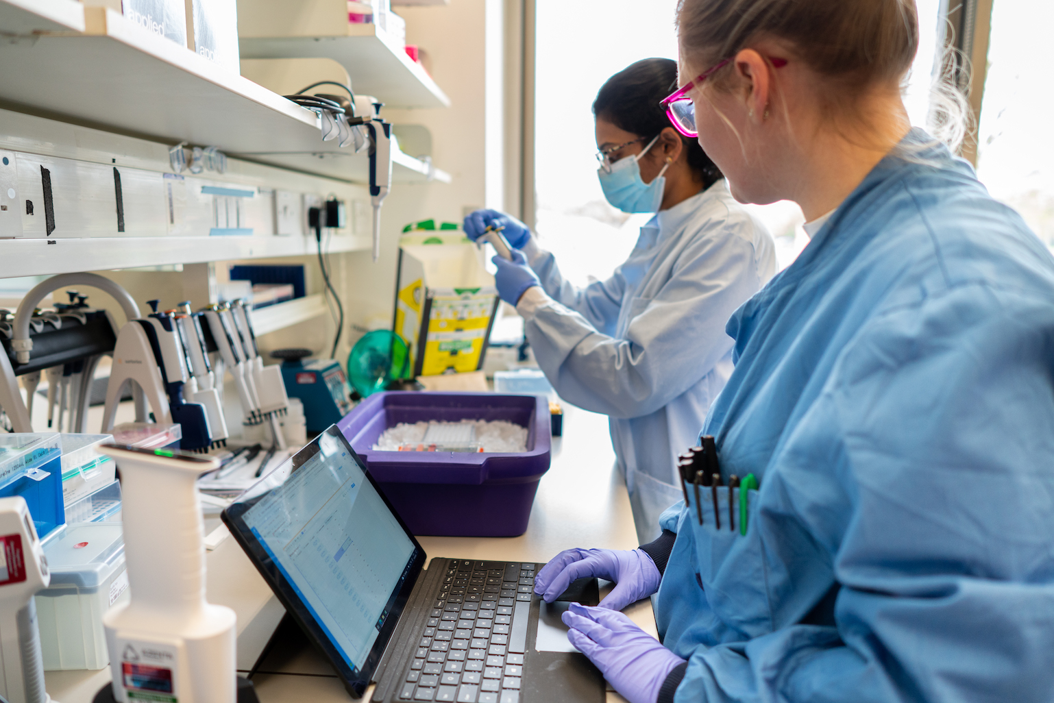 Two scientists in a lab examining samples.