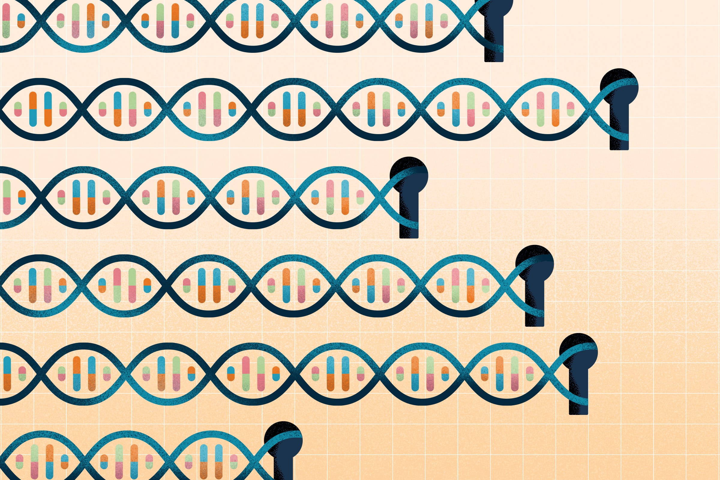 Colourful icons of the DNA structure of various lengths in several rows – all connected to an icon of a keyhole. 