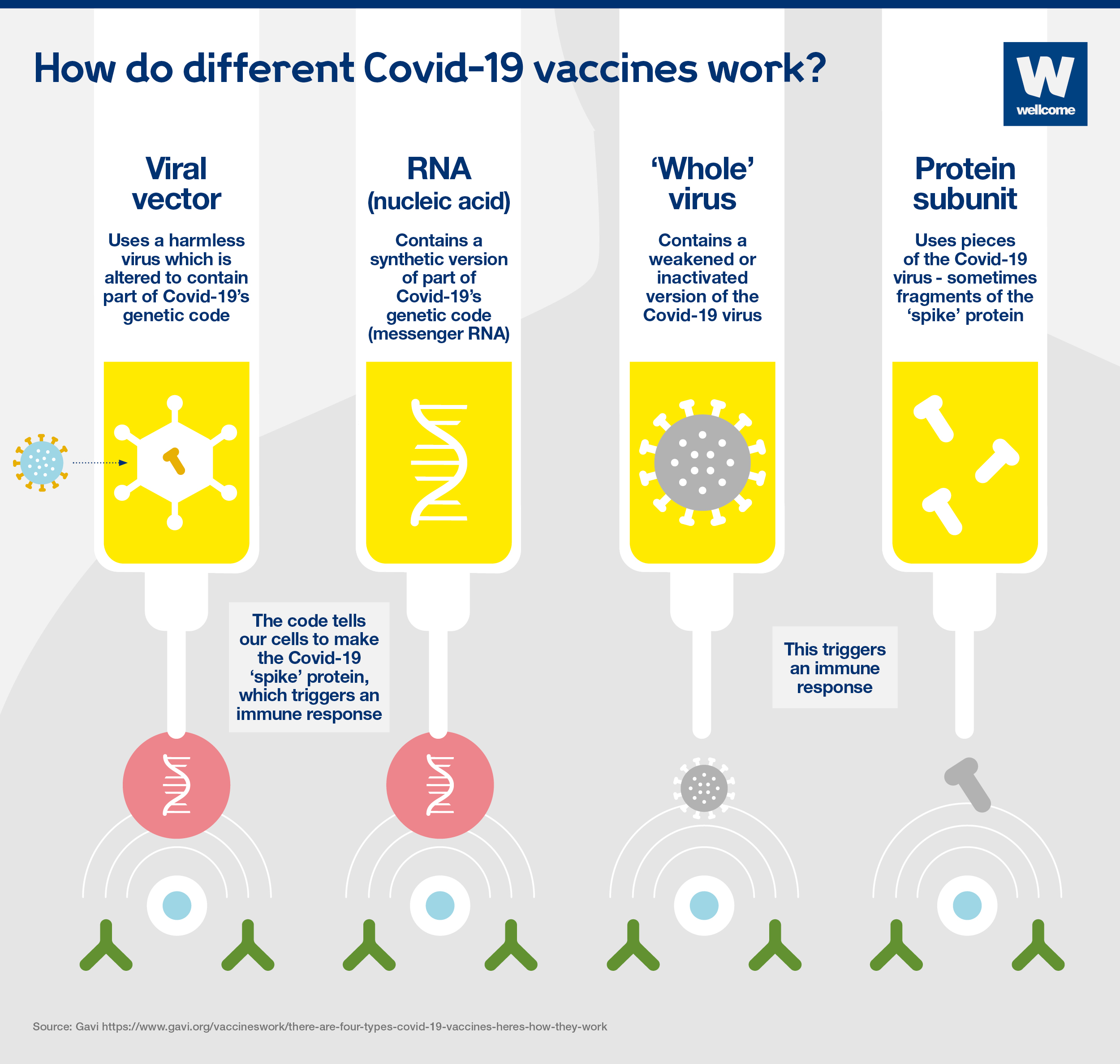 Illustration showing how different Covid-19 vaccines work including RNA, viral vector, whole virus and protein subunit