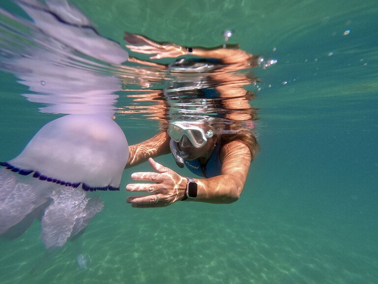 Elisabetta Zavoli - Dr. Leone Jellyfish