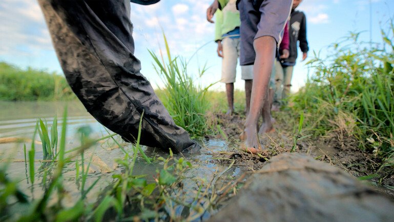 People walk barefoot through shallow water and mud beside a rice field.