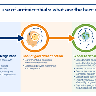 How We Can Make Better Use Of Antibiotics – A Research Roadmap | News ...