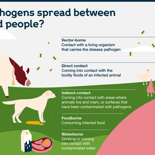 Diseases Caused By Virus In Animals