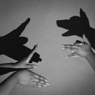 Two children use their hands to make shadows on the wall