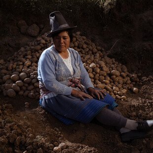A woman sits on the soil her ankles crossed and her hands in her lap. She wears a tall hat and looks down in front of her wistfully. Potatoes are piled up on the ground behind her.