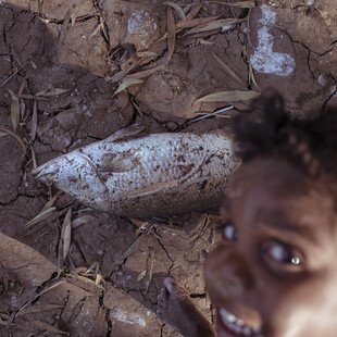 A dead fish lies on dry cracked earth. A child’s face is visible in the right-hand corner, partially blurred out of focus in the foreground.