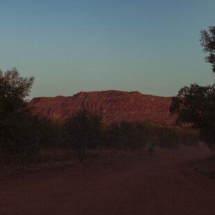 An empty dirt road lined with trees leads to a rugged rock formation bathed in golden light.