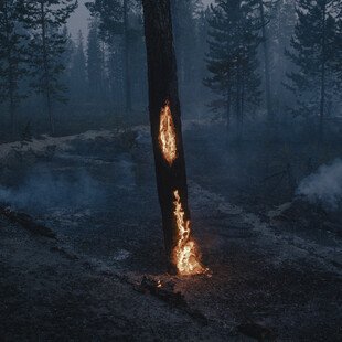 Bright orange flames burn up a tree trunk standing tall in the middle of a small forest clearing. Light levels are low, and the air is hazy with clouds of smoke.