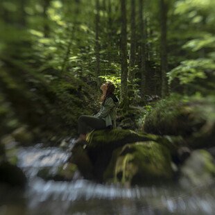 Elisabetta Zavoli - forest bath for treating mental health 3