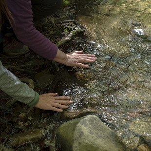 Elisabetta Zavoli - forest bath for treating mental health 2