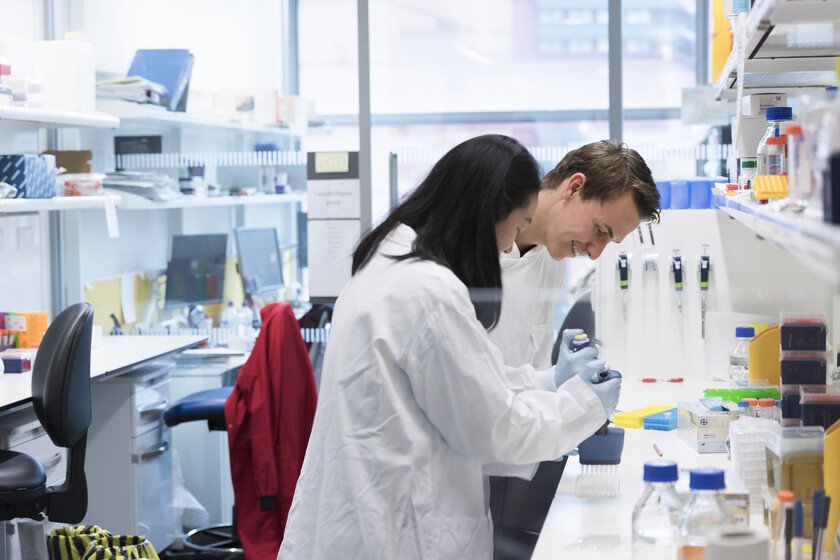 Researchers work in a laboratory at The Crick Institute in London