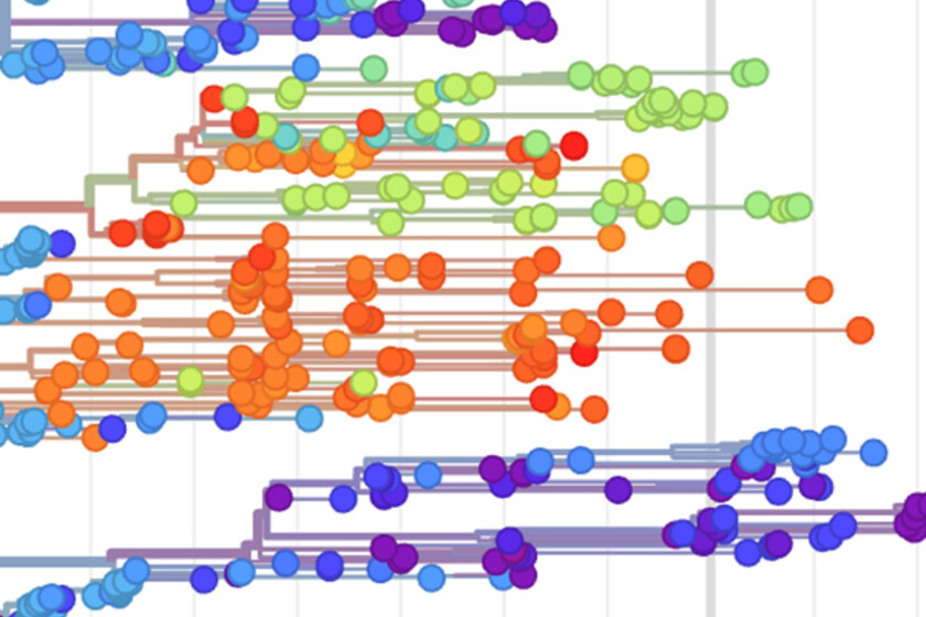 Detail from data showing real-time tracking of Ebola virus evolution