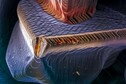 One of the winning images for the 2014 Wellcome Image Awards. Scanning electron micrograph of a semiconductor used to make thin-film solar panels by Eberhardt Josué Friedrich Kernahan and Enrique Rodríguez Cañas.