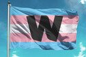 Transgender pride flag with Wellcome logo
