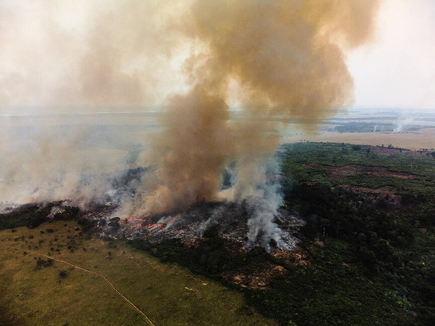 The next pandemic: Why deforestation in DRC could release new viruses ...