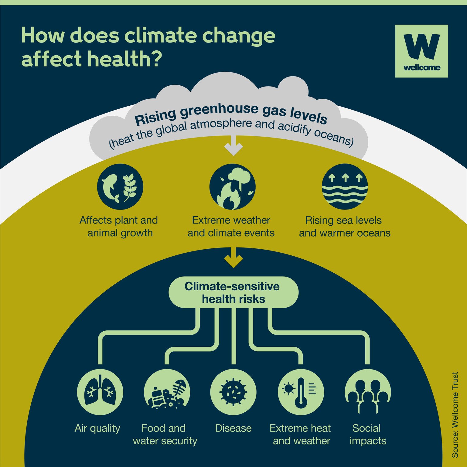 The health effects of climate change, explained News