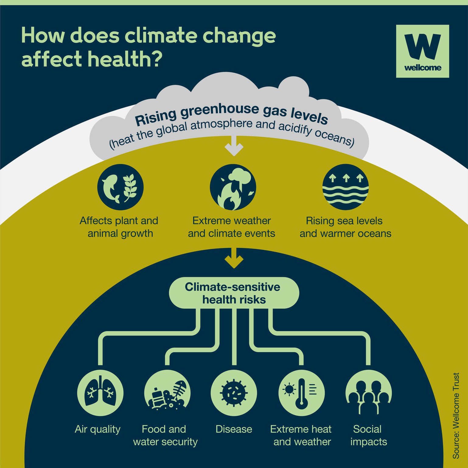 The health effects of climate change, explained, News