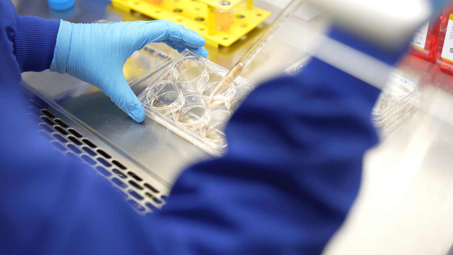 Human Cell Atlast Methods A Human Cell Atlas to shape the future of health | News | Wellcome