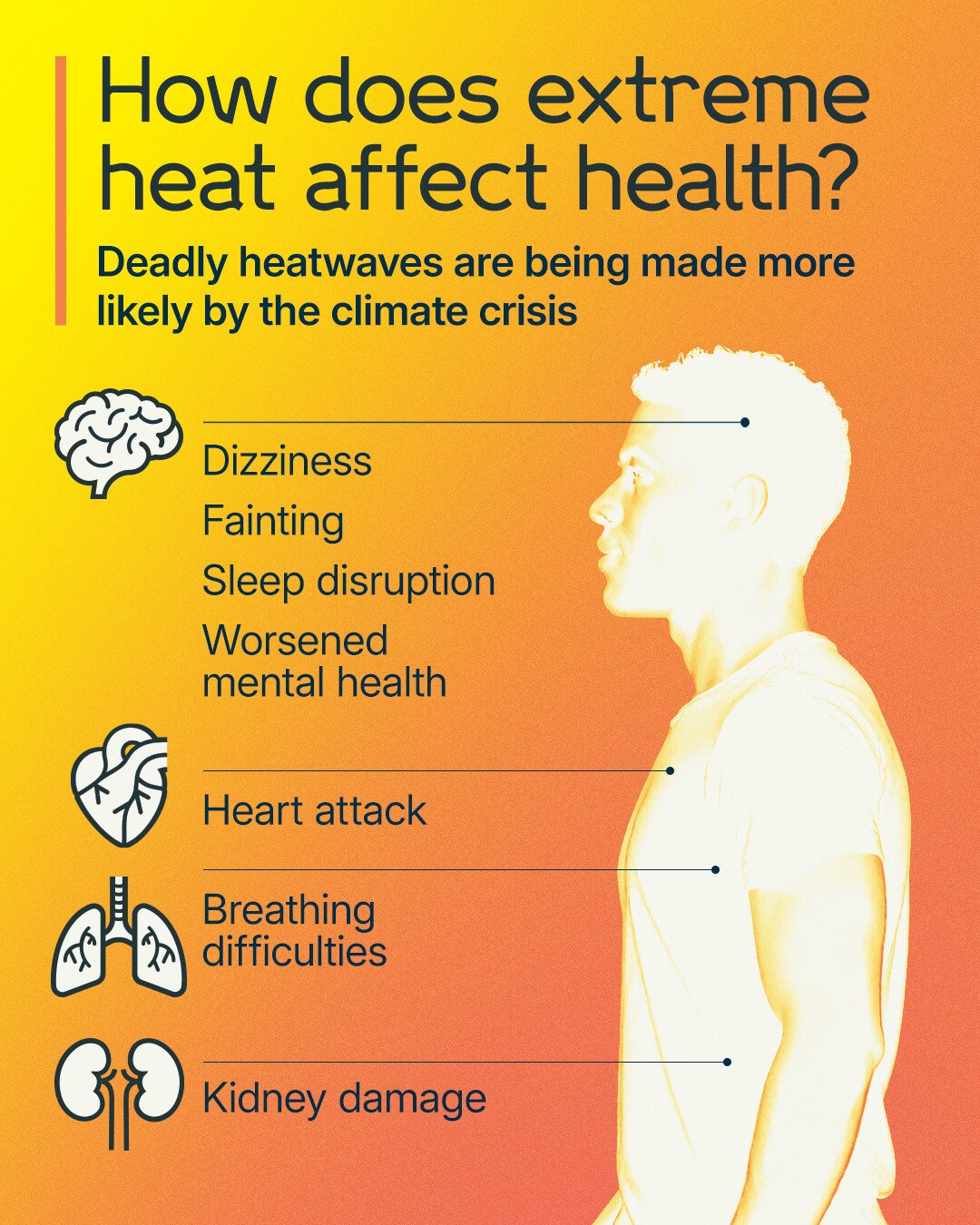 Extreme Heat Risks Effects of extreme heat on the body | News | Wellcome