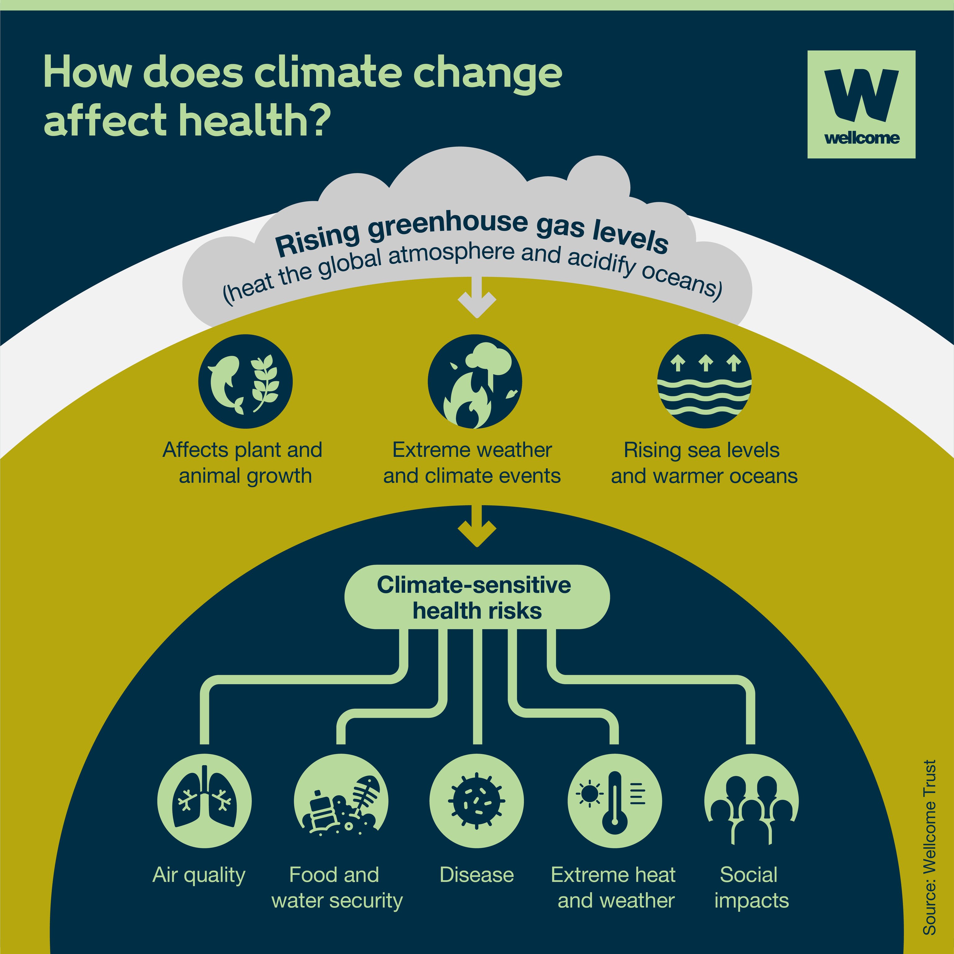 climate change and health research gaps