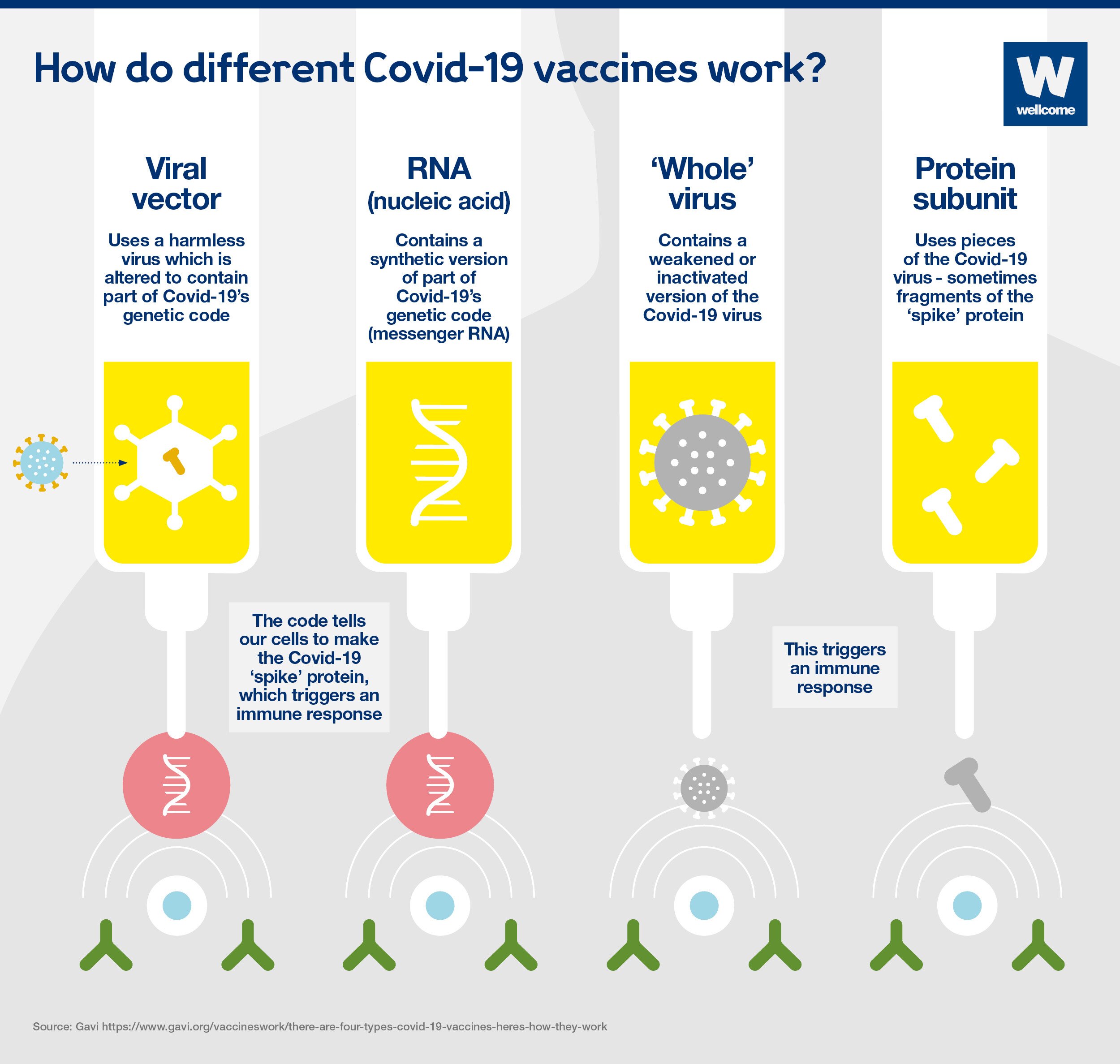 What different types of Covid-19 vaccine are there? | News ...