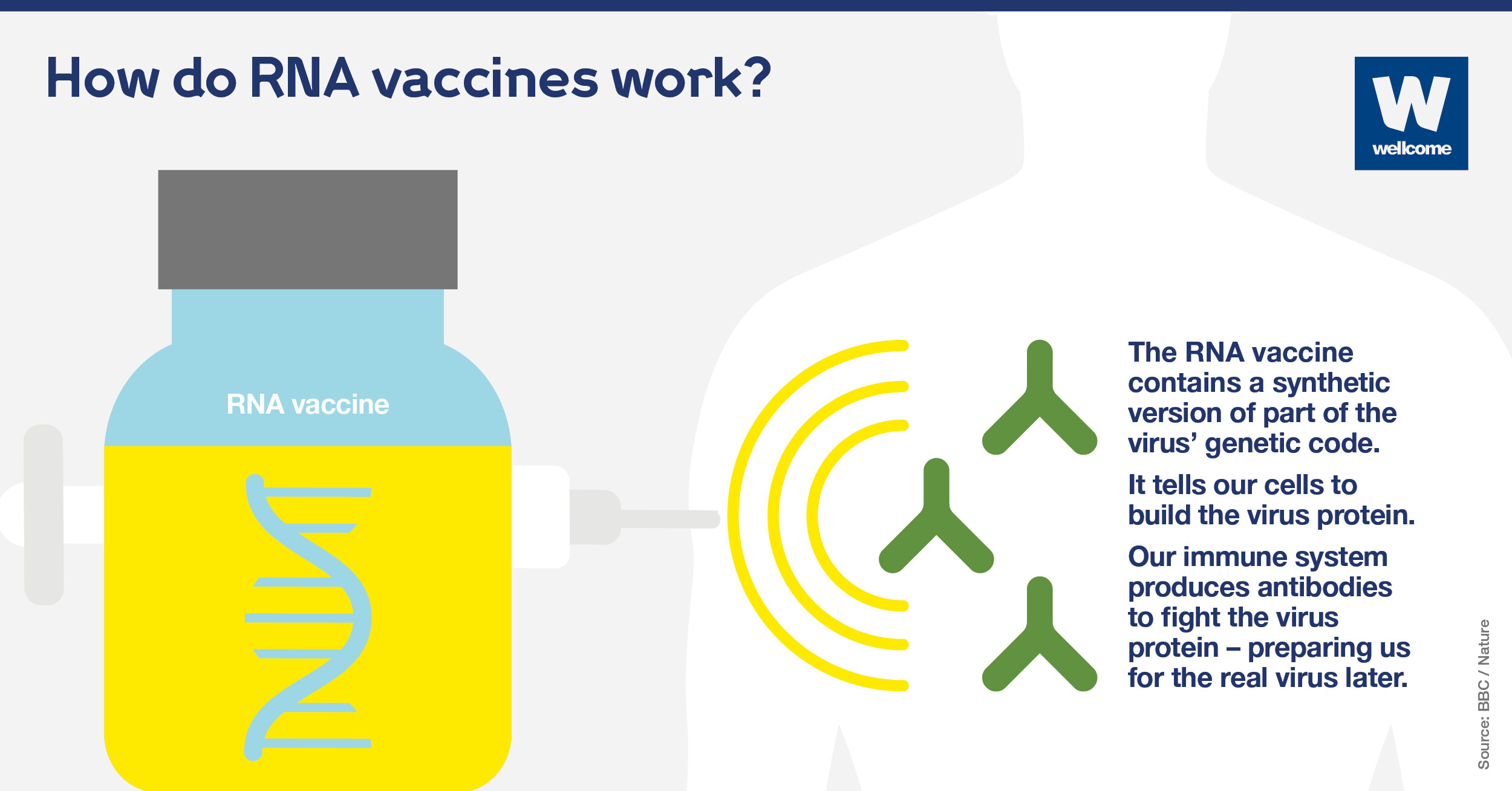 Seven vital questions about the RNA Covid-19 vaccines emerging from