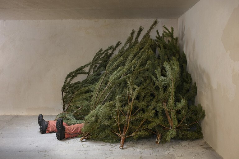 A man's legs poke out from underneath a pile of Christmas trees