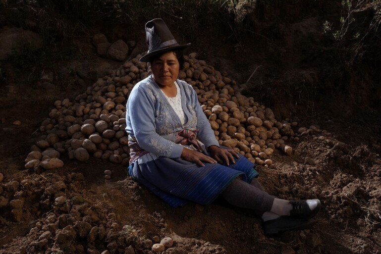 A woman sits centre frame in a pile of potatoes. She looks to the left. She wears a tall hat, blue cardigan and skirt.