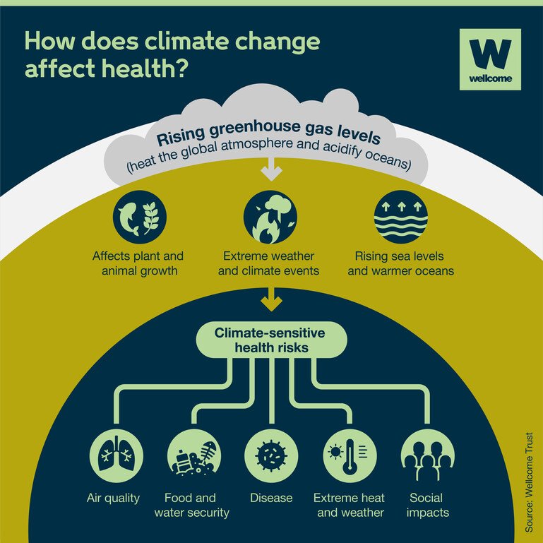 A flowchart style infographic summarises how climate change affects health. Rising greenhouse gas levels heat the global atmosphere and acidify oceans. This affects plant and animal growth, leads to rising sea levels and impacts extreme weather and climate events. These effects then result in several climate-sensitive health risks: air quality, food and water security, disease, extreme heat and weather and social impacts.