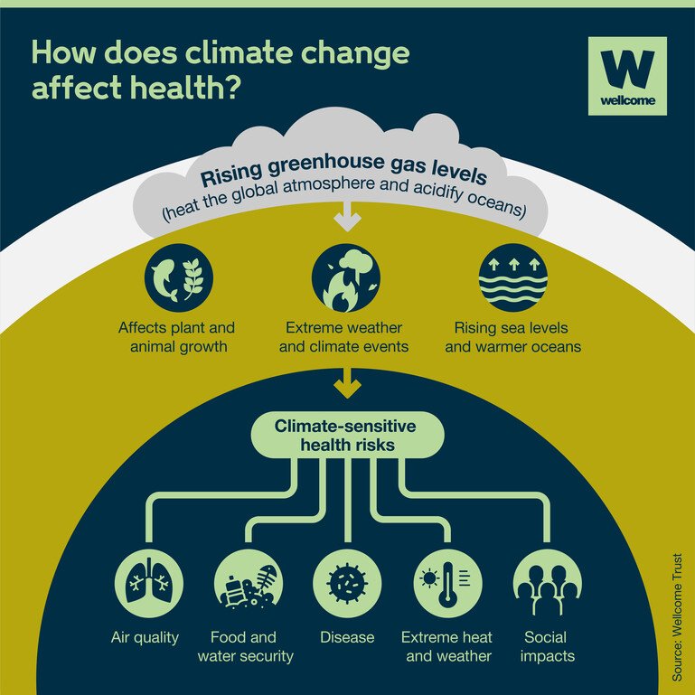 How Sudden Temperature Changes Impact Our Health