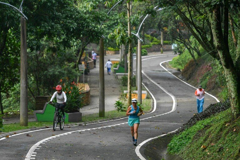 People exercise on a tree-lined road up Volador hill in Medellin, Colombia.