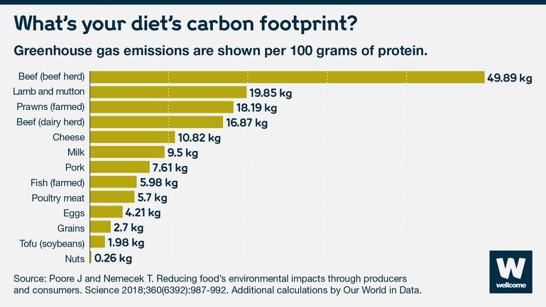 Bar chart showing greenhouse gas emissions per 100 grams of protein.