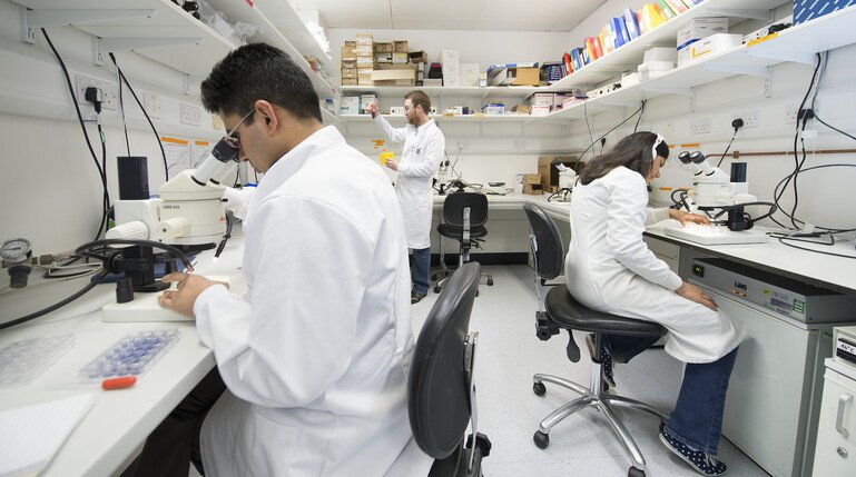 Three scientists working in a lab at the University of Manchester.