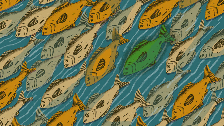 Illustrations of fish in water.