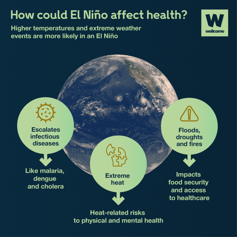 Infographic about the health impacts of El Niño. Three information bubbles surround a satellite image of the earth. One reads 'Escalates infectious disease like malaria dengue and cholera'. Another reads 'Extreme heat. Heat-related risks to physical and mental health'. The final bubble reads 'Floods, droughts and fires impacts food security and access to healthcare'.