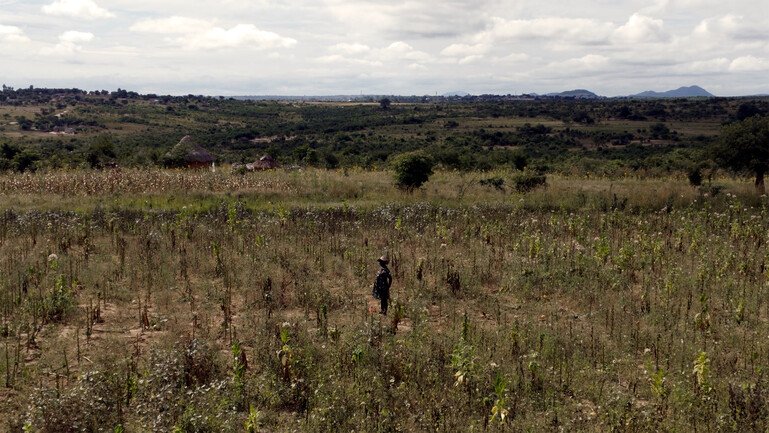 A woman stands in a dry field with mountains in the distance.