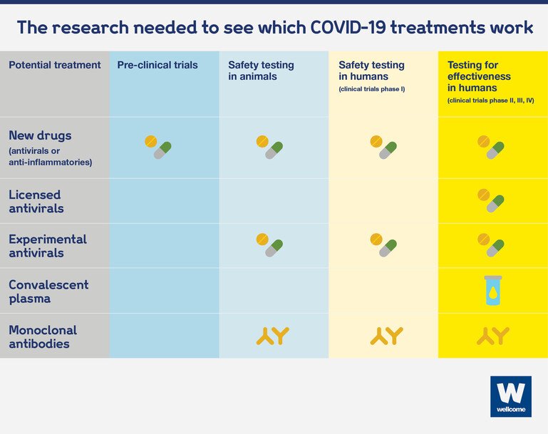 Graphic showing the different stages of research needed to see if different types of treatment work.
