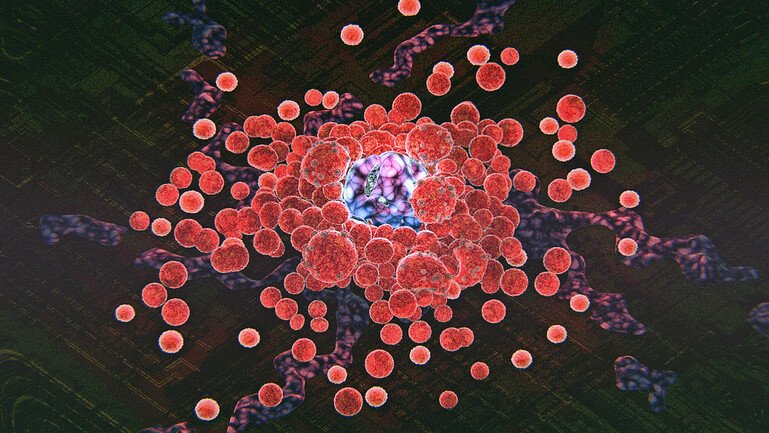 Computer graphics image showing cells in the immune system