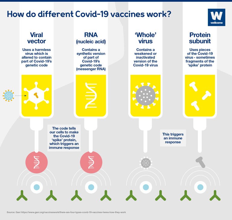 Illustration showing how different Covid-19 vaccines work including RNA, viral vector, whole virus and protein subunit
