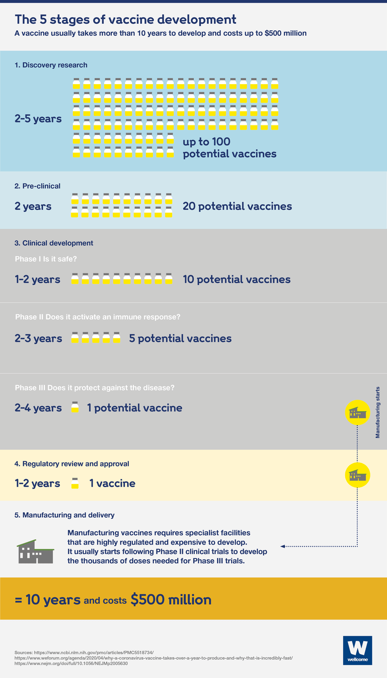 Graphic showing the five stages of vaccine development.