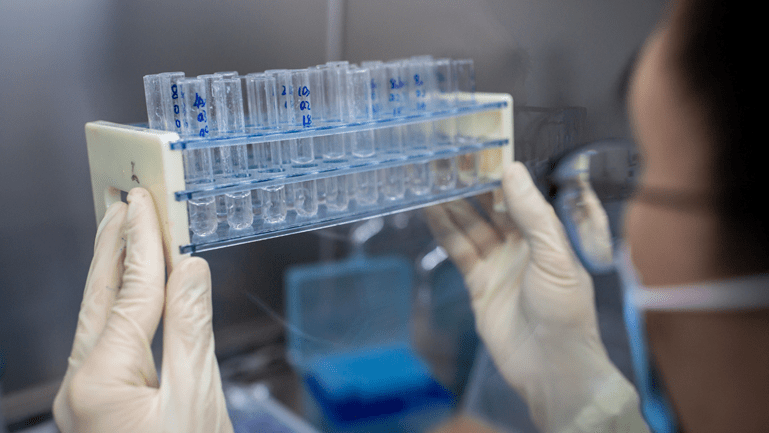 An engineer holds up a rack of experimental coronavirus vaccine candidates