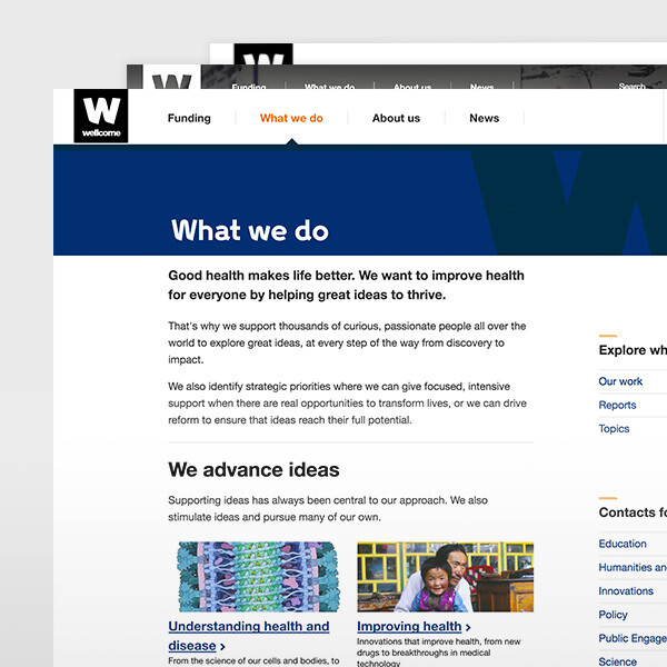 screenshot of the design for the What we do page