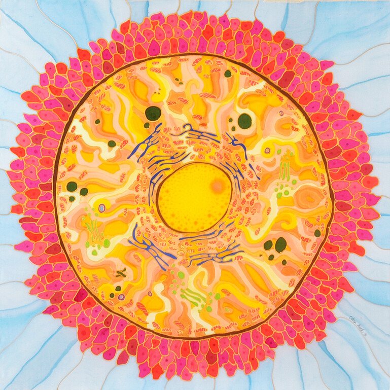 Digitised image of a mother cell, painted on silk