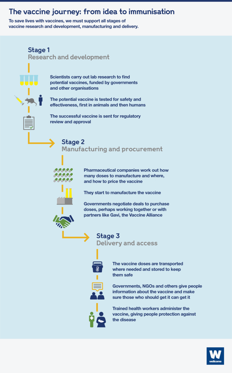 Infographic showing the three stages of the vaccine process - research and development, manufacturing and procurement, and delivery and access