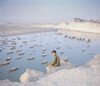 A young boy looks out towards Chabahar, a seaport in the southeastern area of Sistan and Baluchestan province